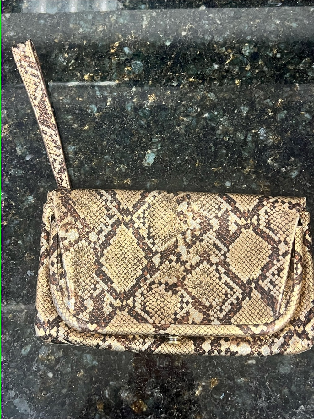 Hobo Wristlet Clutch in Snake-Print Beige and Brown